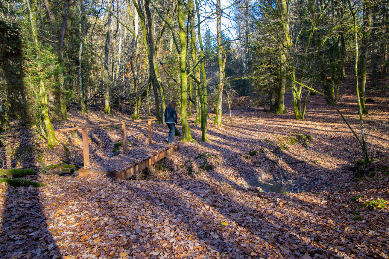 Br&uuml;ckchen &uuml;ber einen fast trockenen Bach