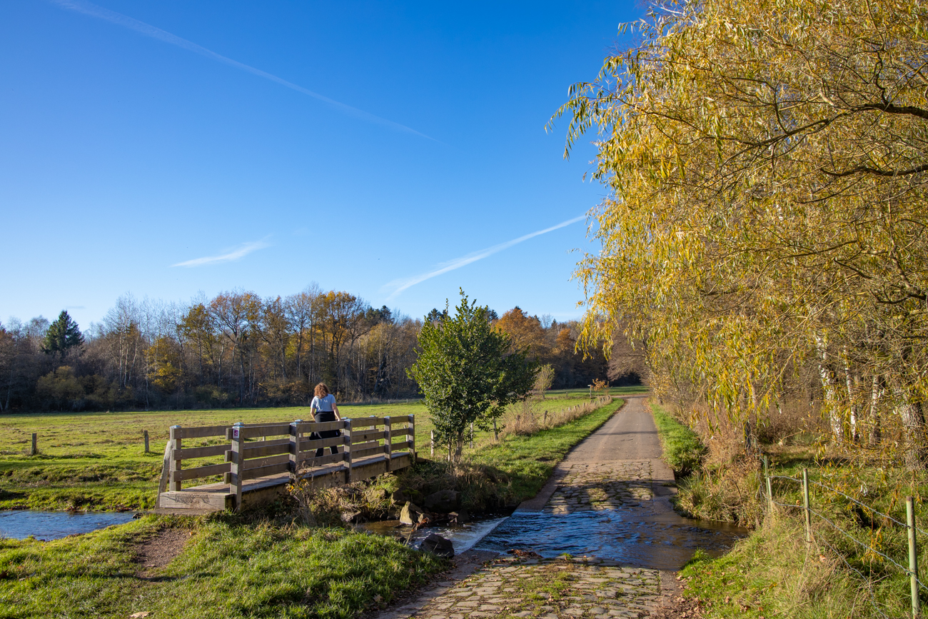 Dank der Br&uuml;cke kommt man mit trockenen F&uuml;&szlig;en &uuml;ber den H&ouml;lzbach
