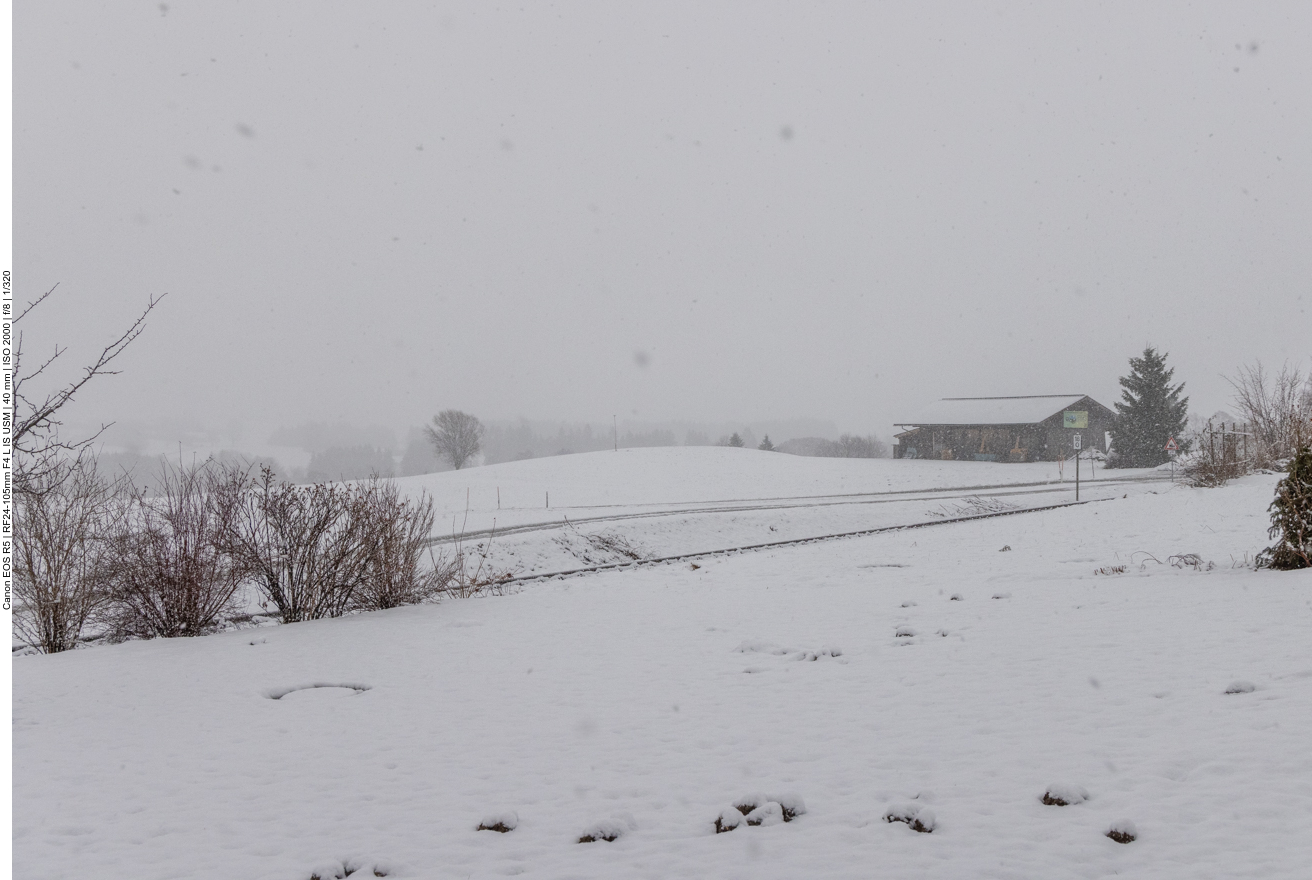 Der heutige Blick aus dem Fenster: White out