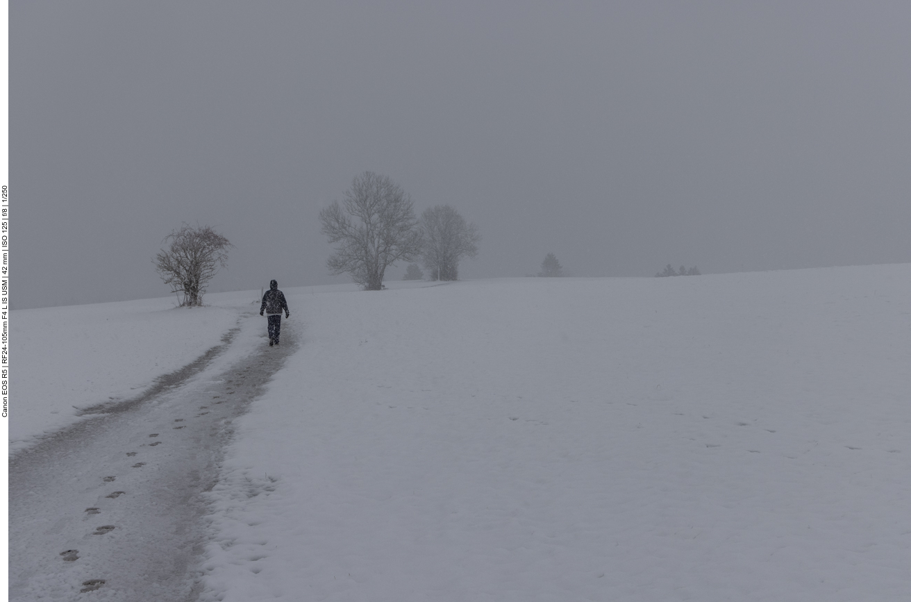 Tapfer laufen wir trotzdem los
