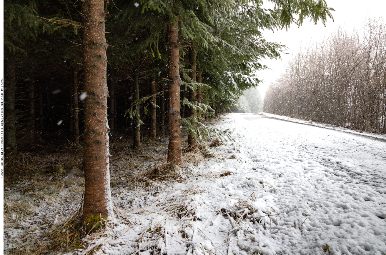 Am Waldrand ist etwas Windschatten