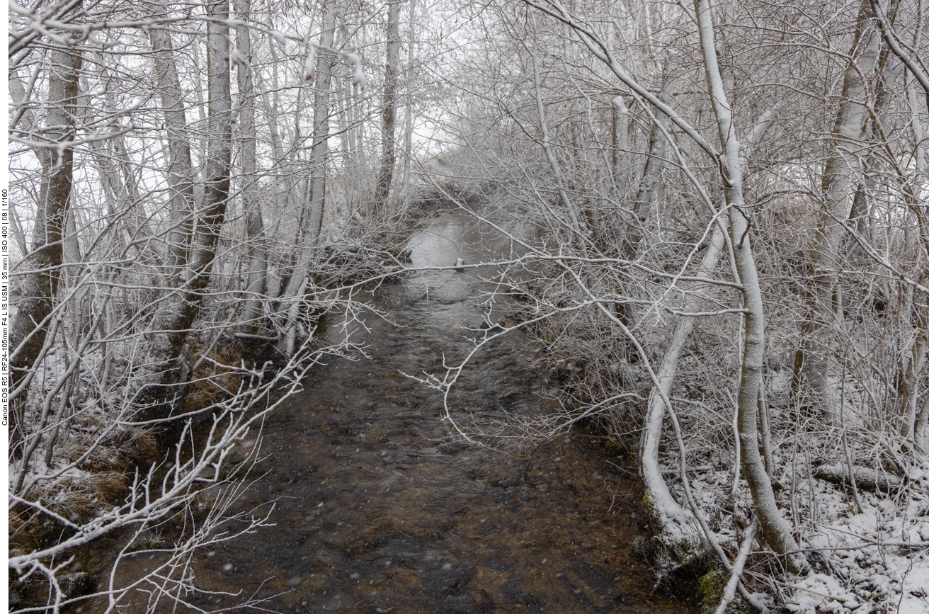 So beschließen wir den Weg abzukürzen, etwas Kuchen zu kaufen und den Vormittag gemütlich in der Wohnung zu verbringen ;-)