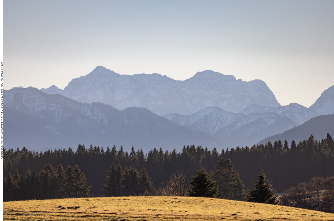 Morgendlicher Blick aus dem Fenster ...