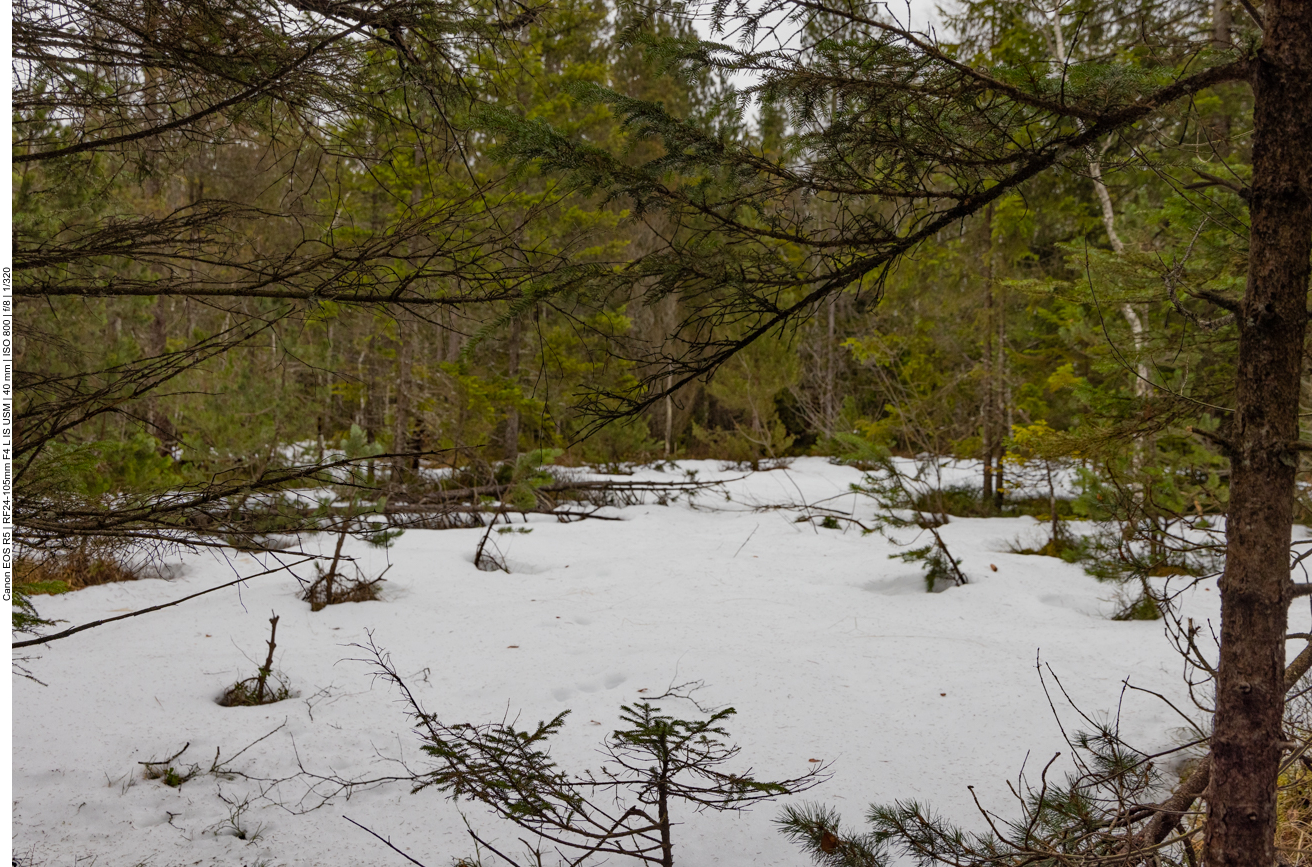 Im Schatten liegt noch Schnee