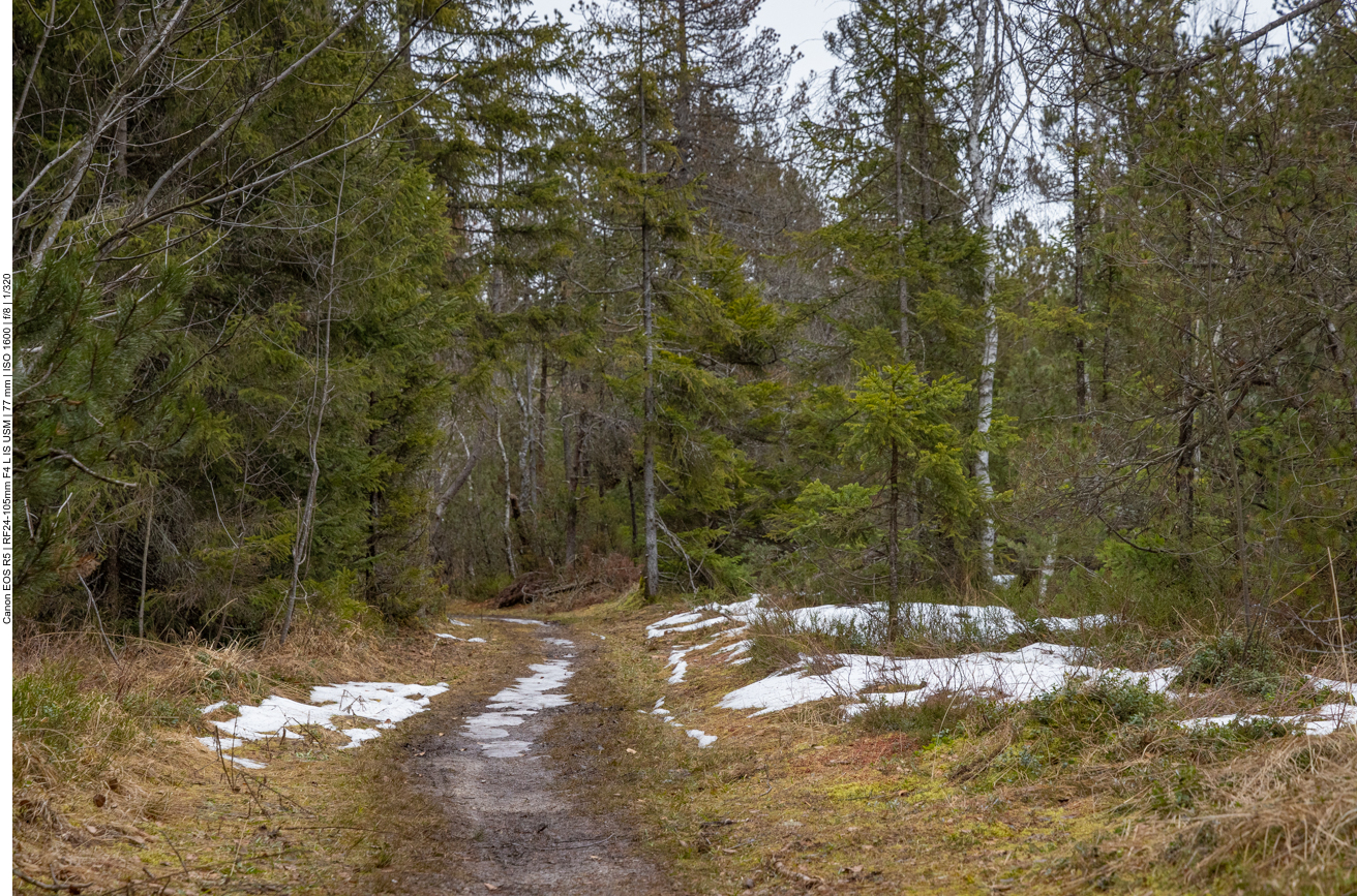 Einige Schneereste am Weg