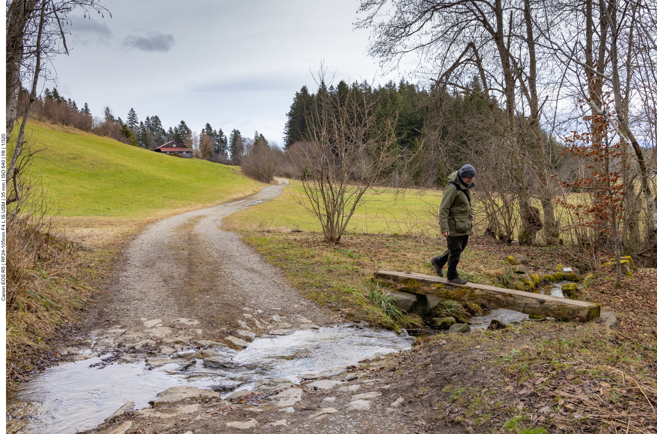 Lieber Steg als nasse Füße ;-)