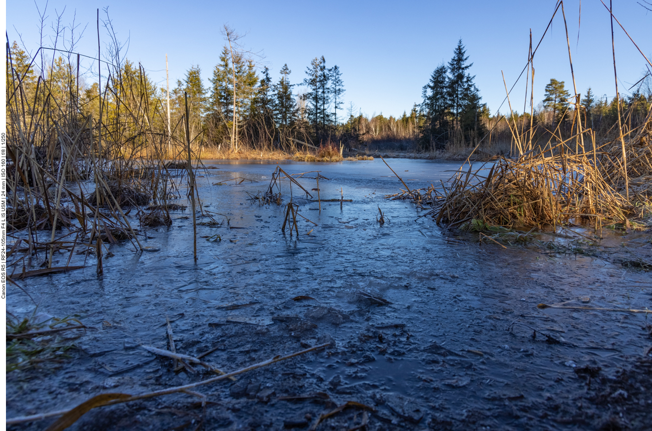 Die Teiche sind zum Teil noch gefroren