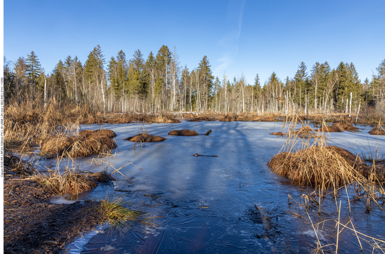 Trotz Plusgraden ist zumindest im Schatten noch einiges gefroren