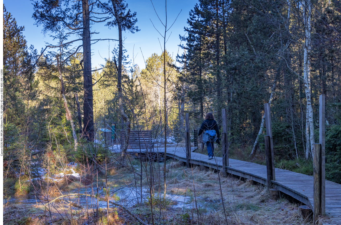 Weg zum Aussichtspunkt