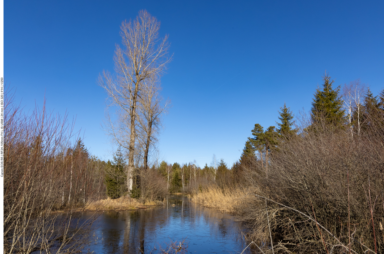 Wieder im Moos zur&uuml;ck