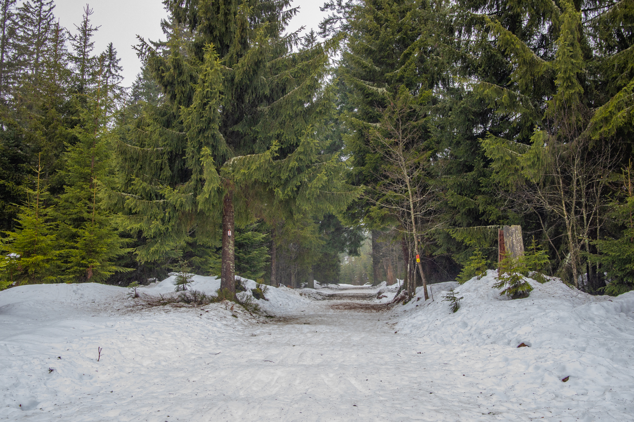 Der Schnee ist vom Regen leider etwas angetaut