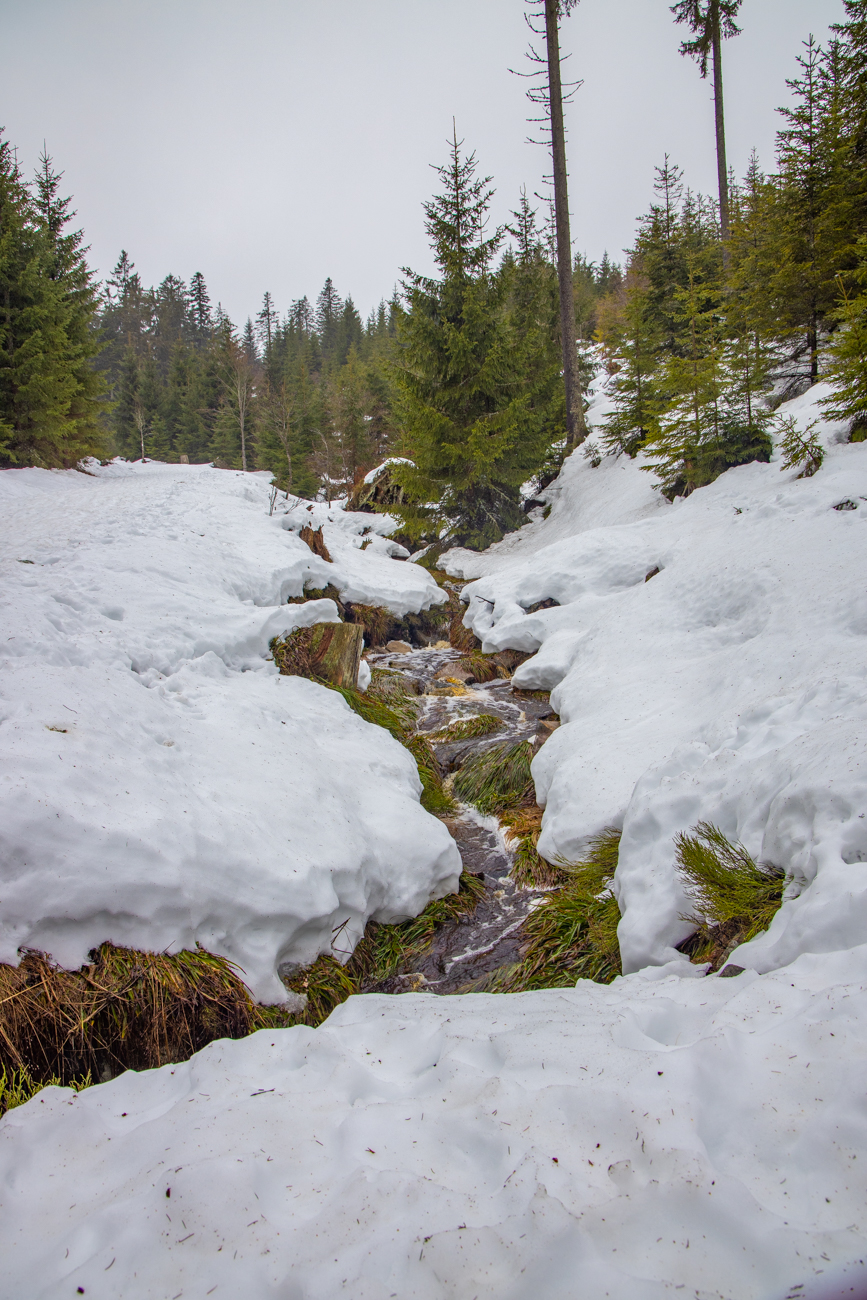 Bach durch den Schnee