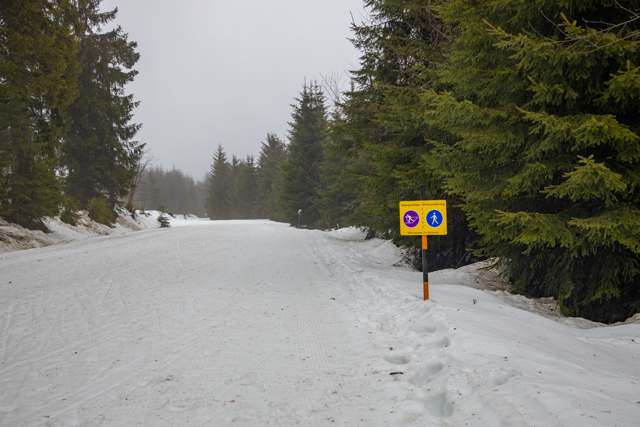 Die gespurten Loipen tauen leider weg