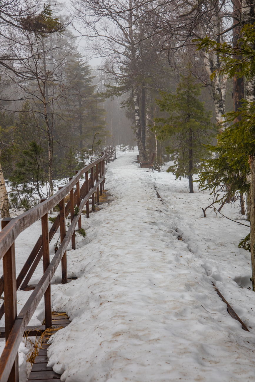 Der Holzbohlenweg durch das Moor ist schneebedeckt