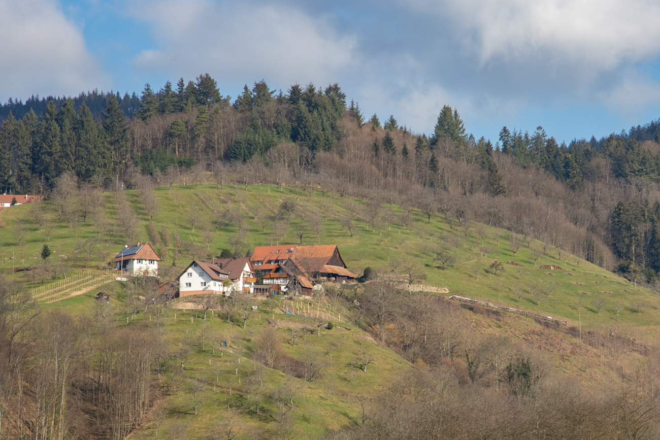 Schwarzwaldhof