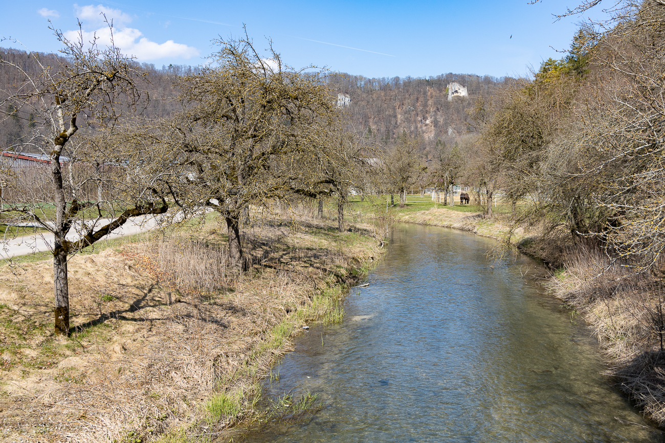 Blick auf die Aach
