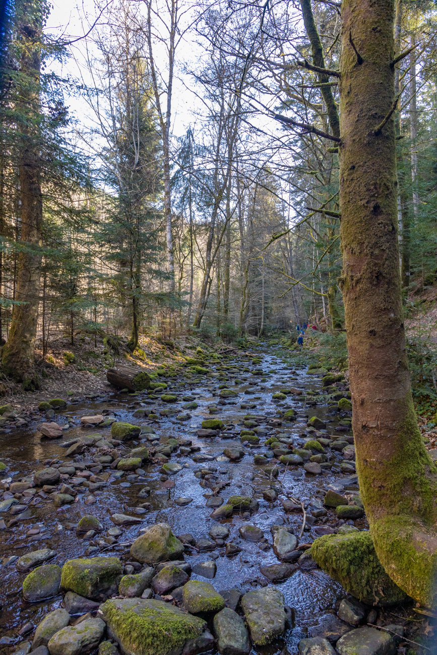 Der untere Monbach