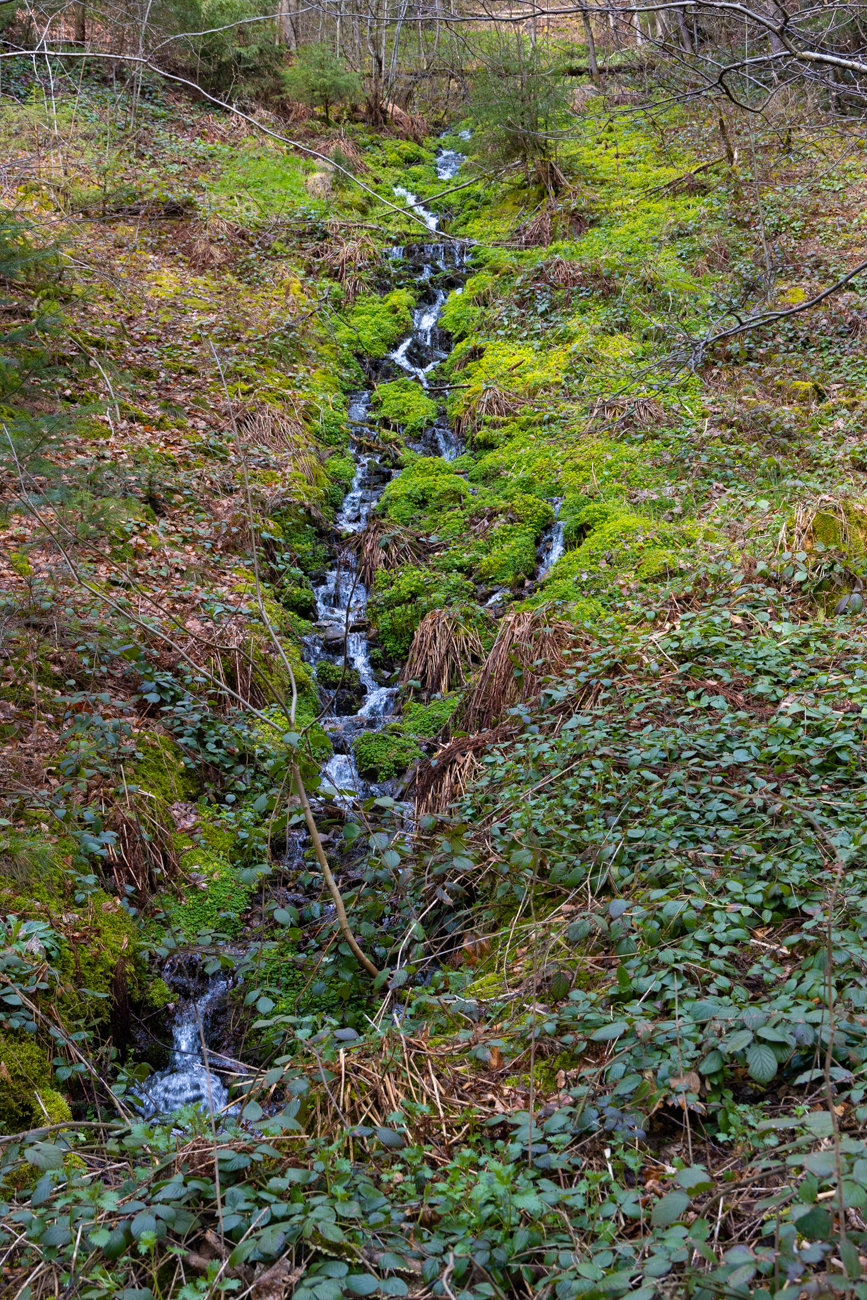 Kleiner Bach an steilem Hang