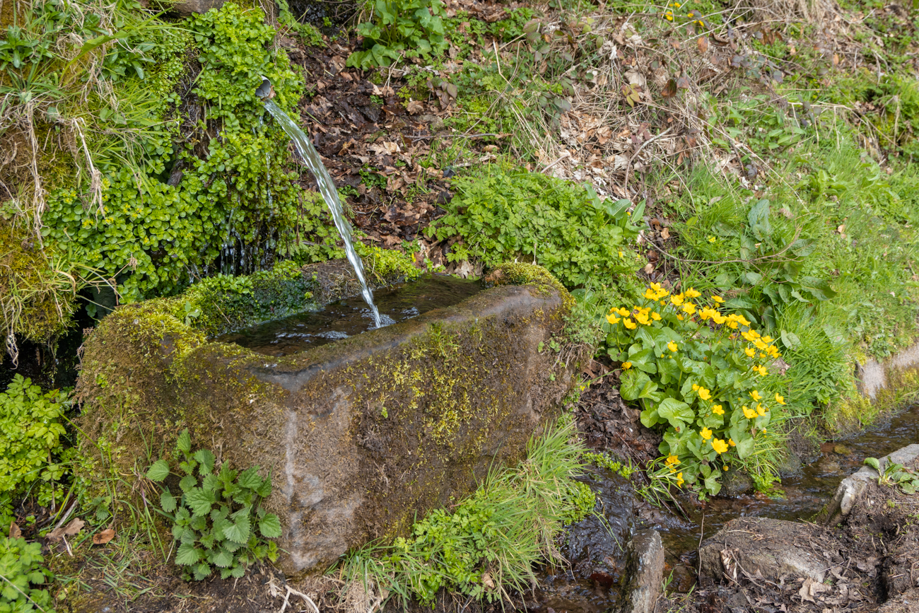 Alter Brunnen ...