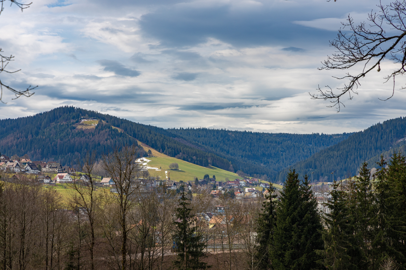 Blick über Klosterreichenbach