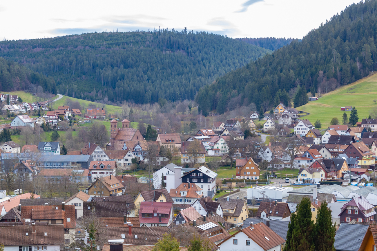 Blick über Klosterreichenbach