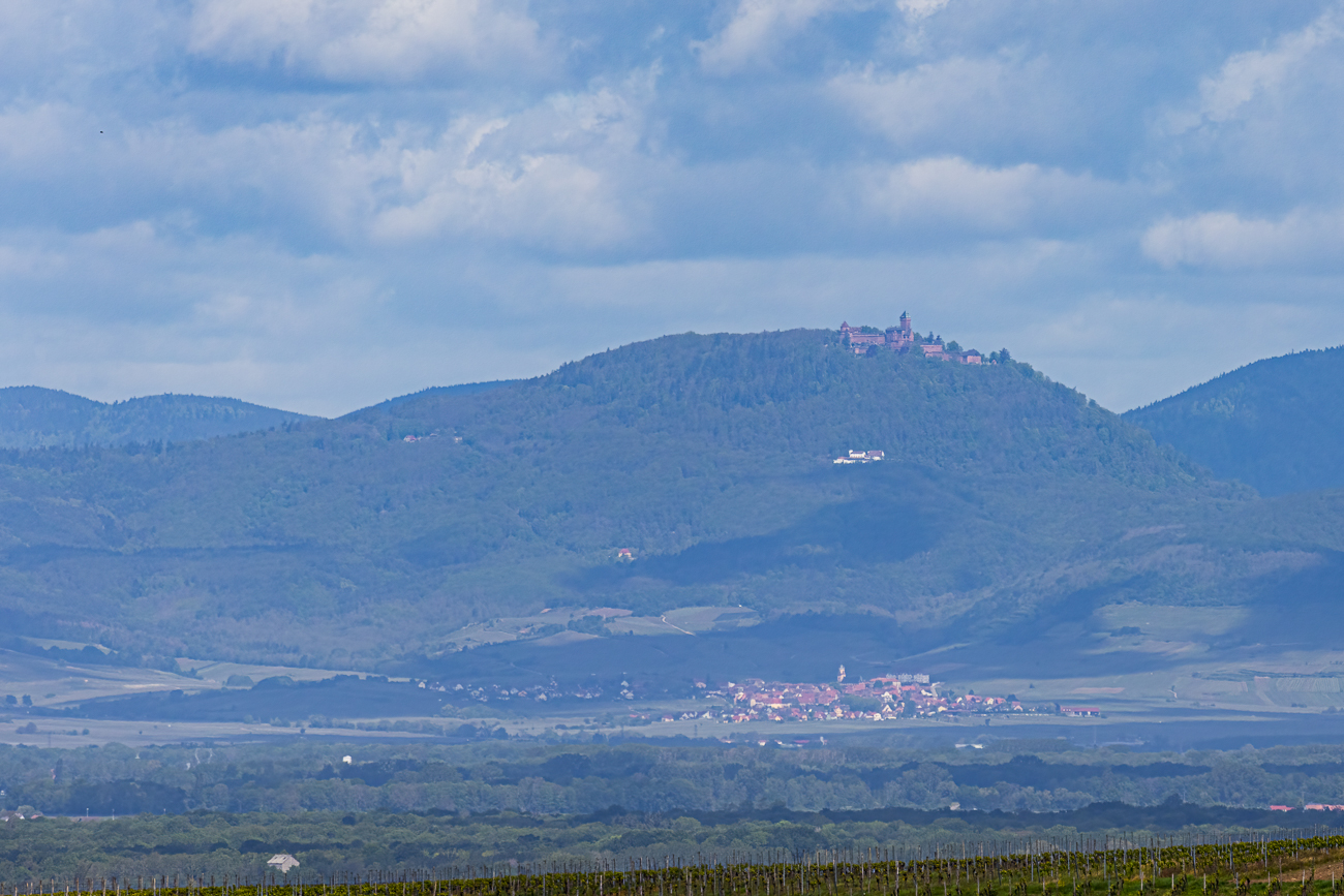 Hochkönigsburg im Elsass