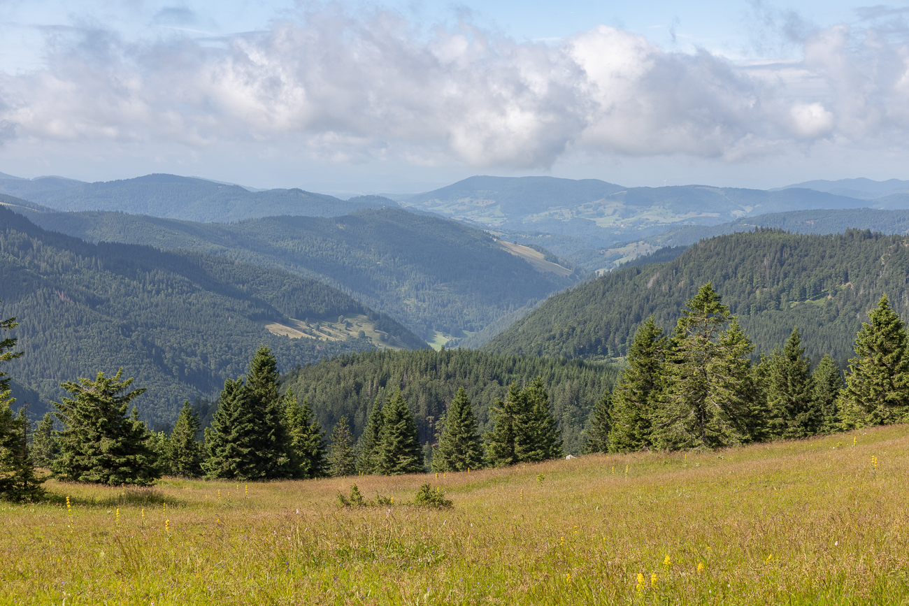 Wieder ein Blick in die Umgebung