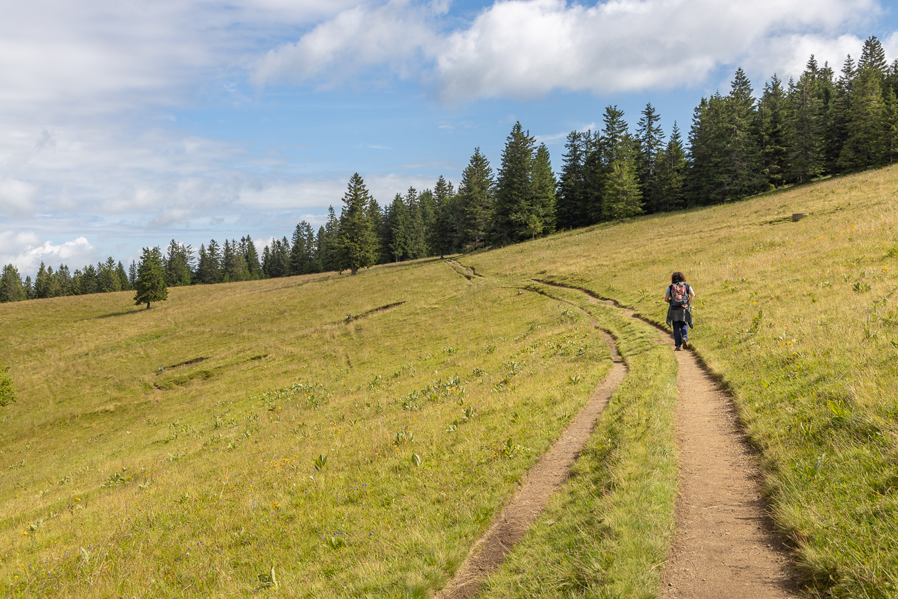 Auf dem Wanderweg
