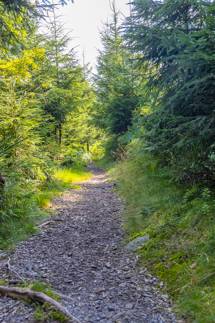 Gemulchter Weg