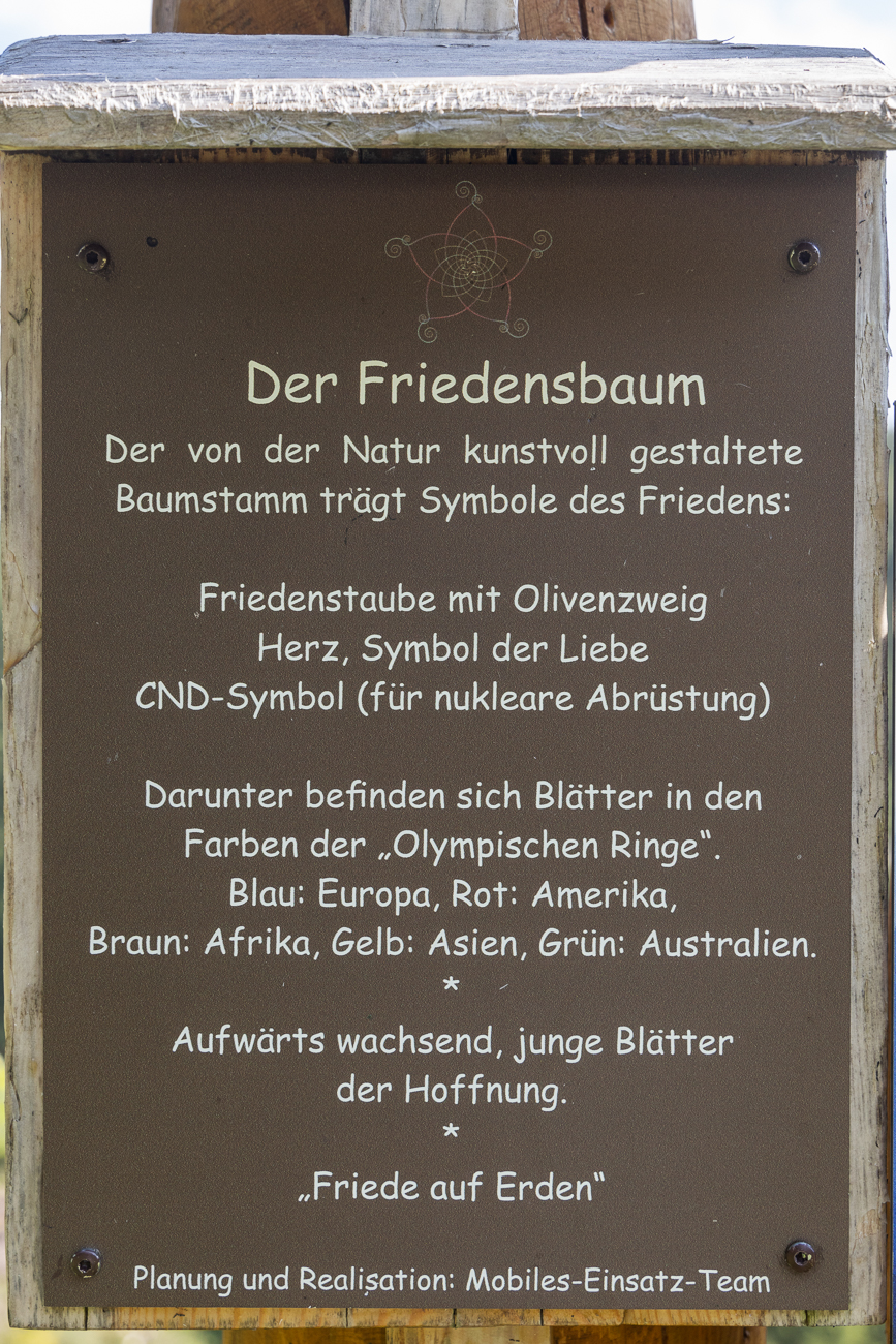 Infos zum Friedensbaum