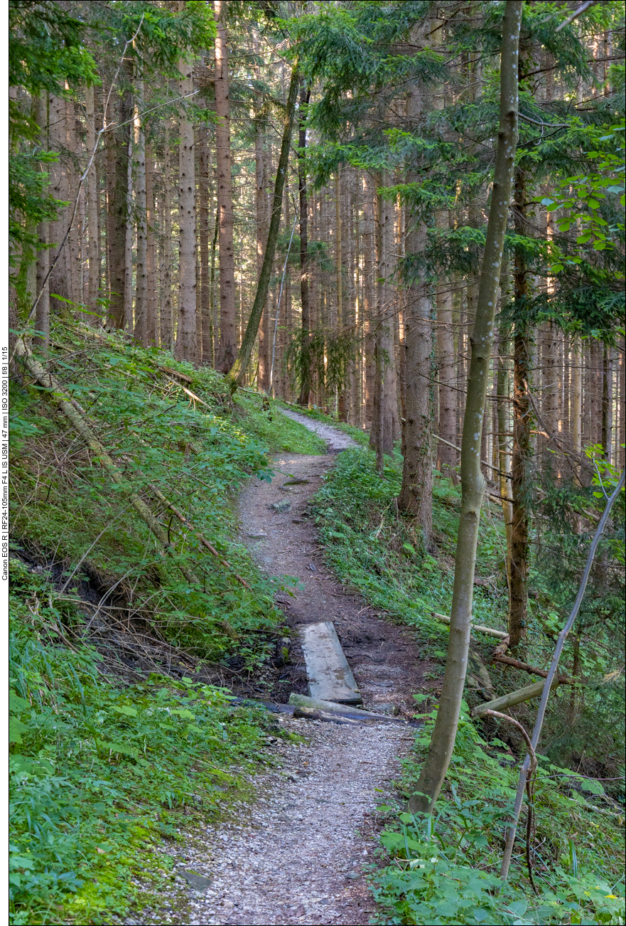 Sch&ouml;ner Waldweg
