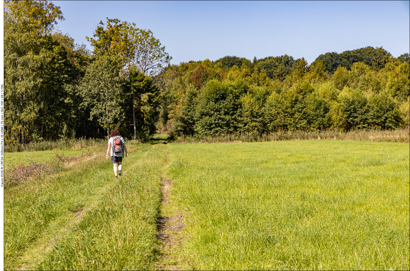 Nun führt der Weg durch das Moorgebiet am Bärnsee