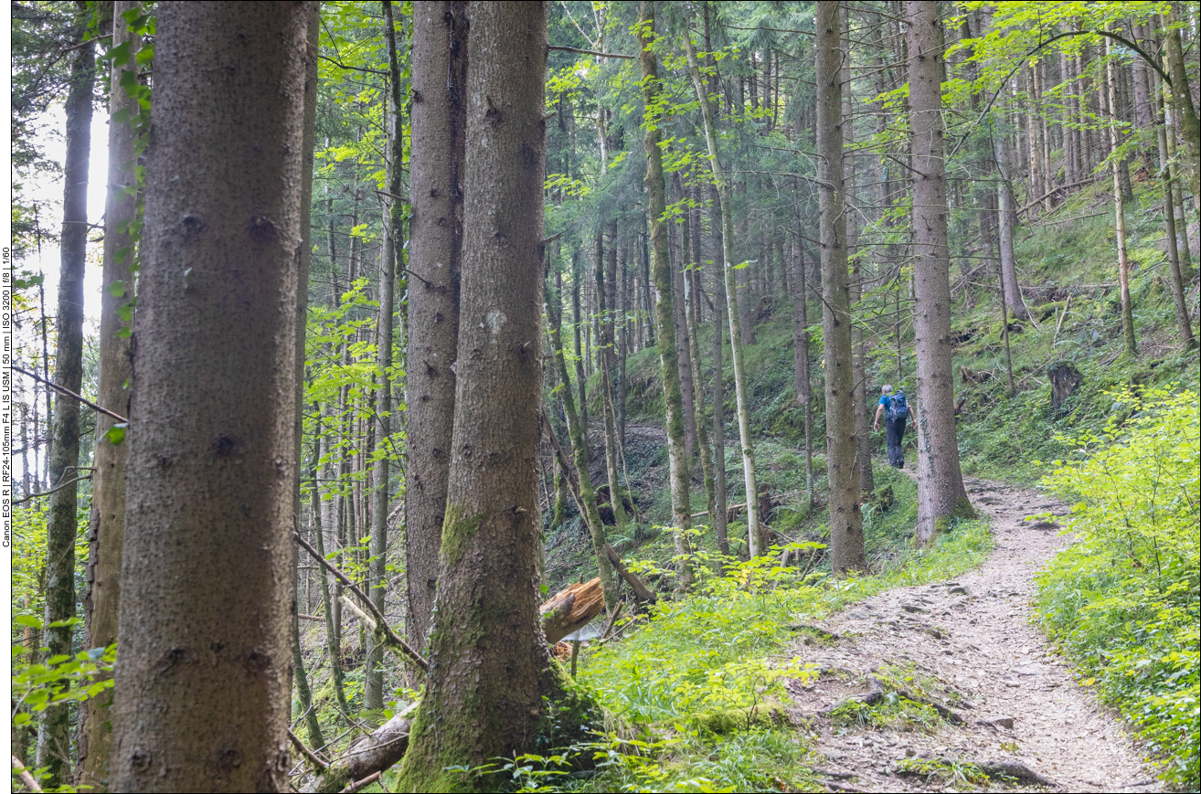 Ein schmaler Weg f&uuml;hrt zum Aussichtspunkt Chiemseeblick