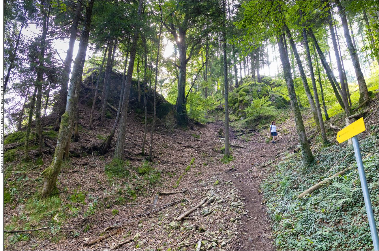 Abstieg vom Aussichtspunkt