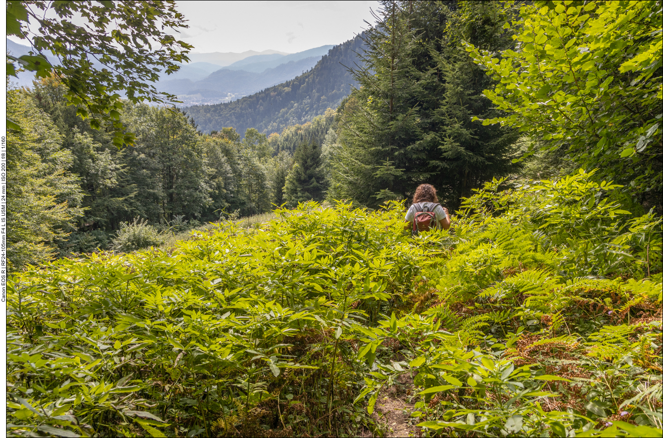 ... auf einen kaum auszumachenden Pfad mit Brennesseln und Stachelgeb&uuml;sch
