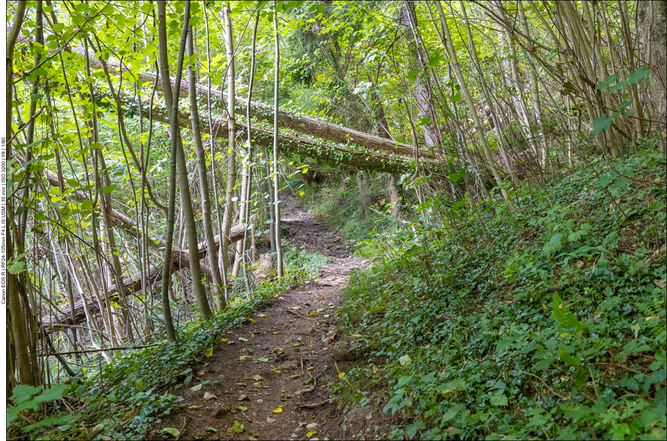 Schlie&szlig;lich finden wir doch noch den rechten Weg