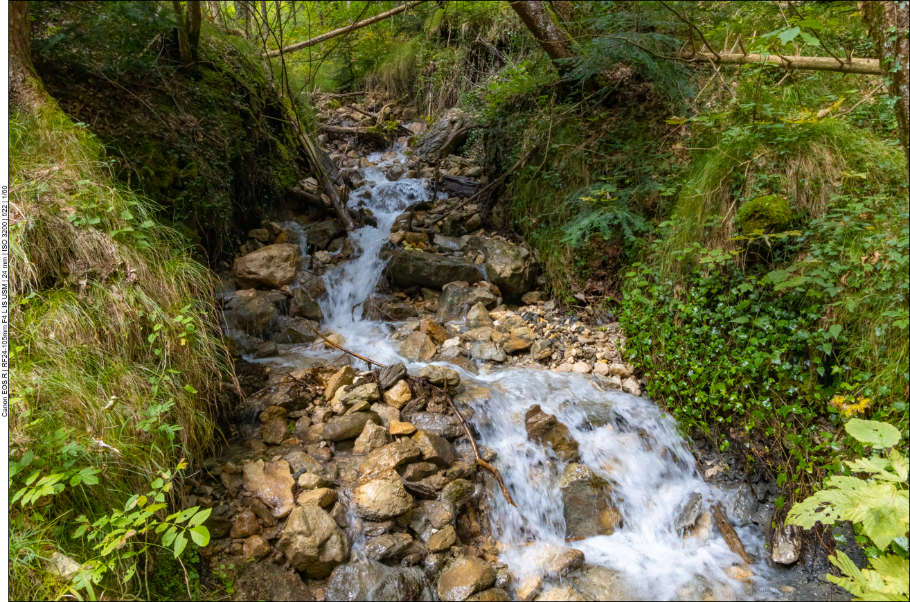... begleitet uns ein St&uuml;ck des Weges