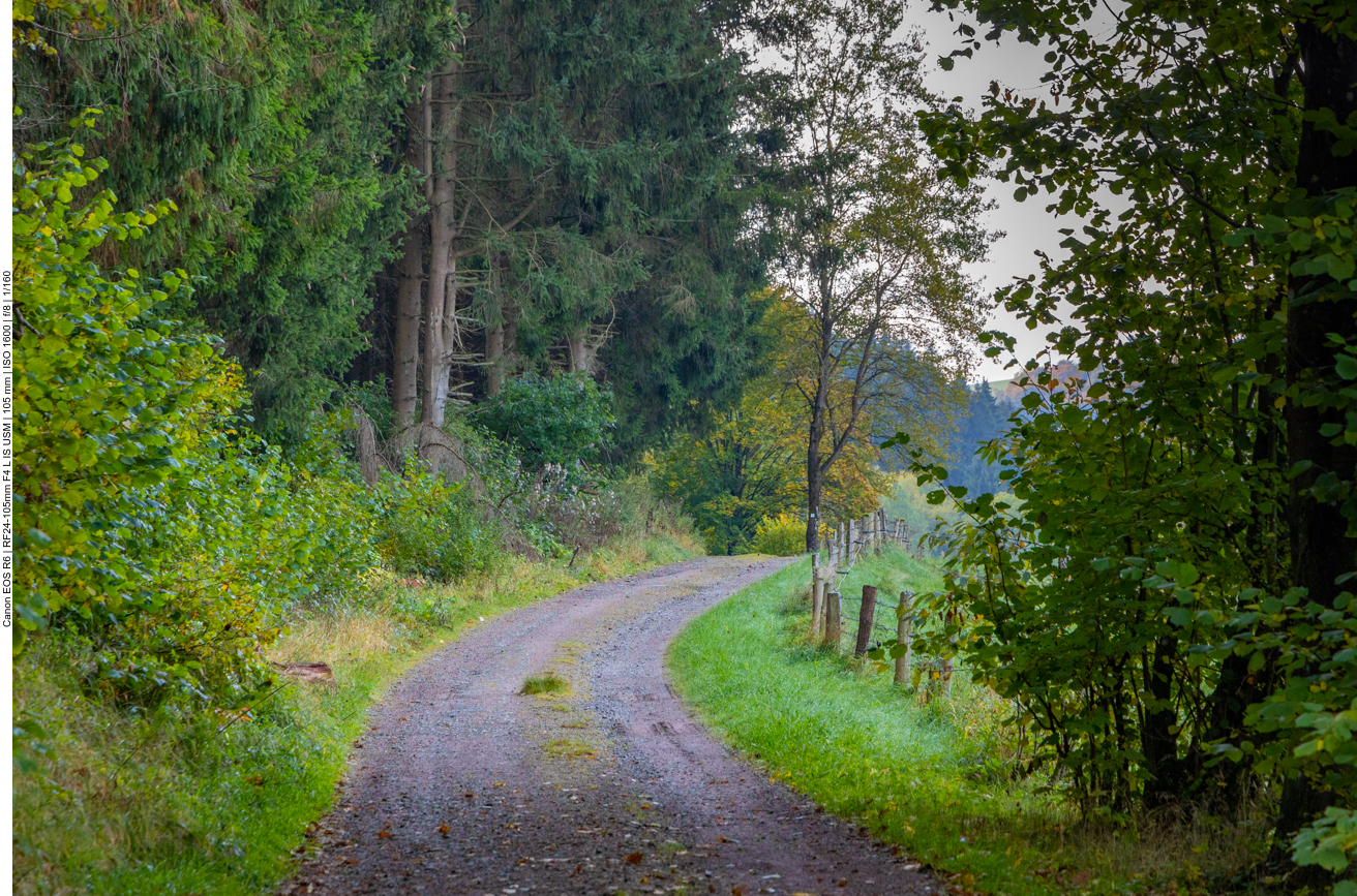 Der Weg führt meist parallel zum Prether Bach entlang