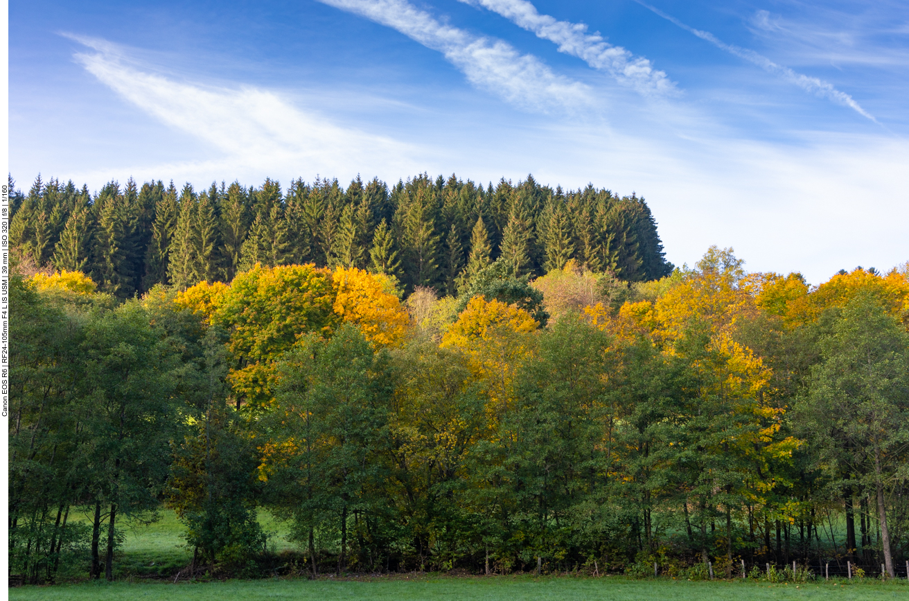 Herbstfarben