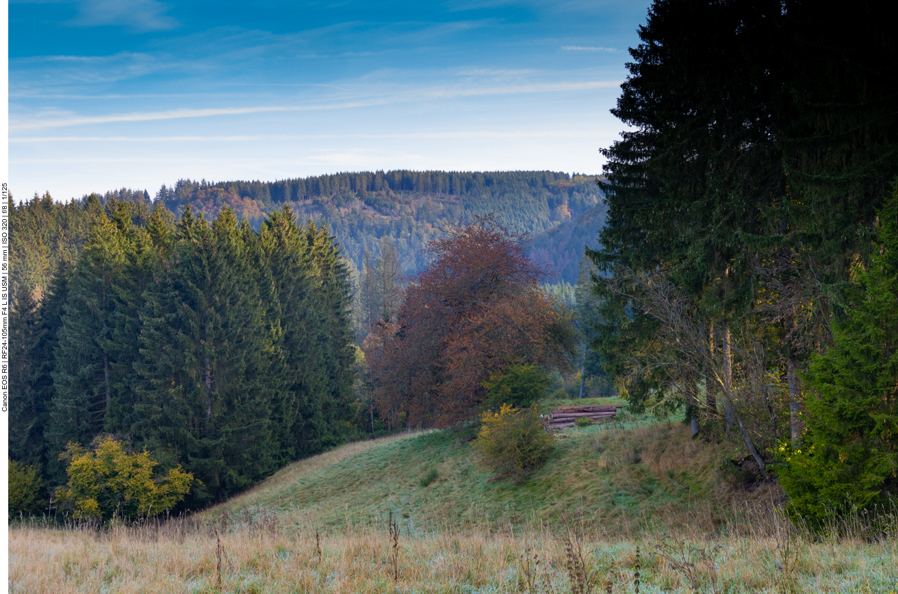 Bewaldete Täler und Berge