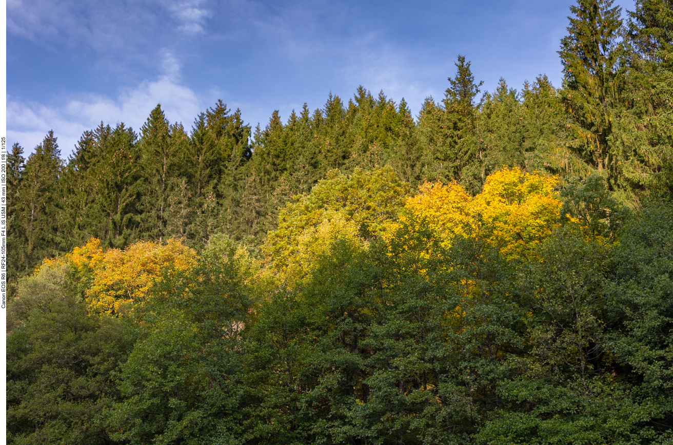 Gelb und grün kontrastieren gut zum Himmelsblau