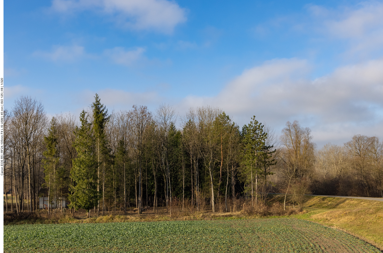 Polder hinter dem Rheindamm