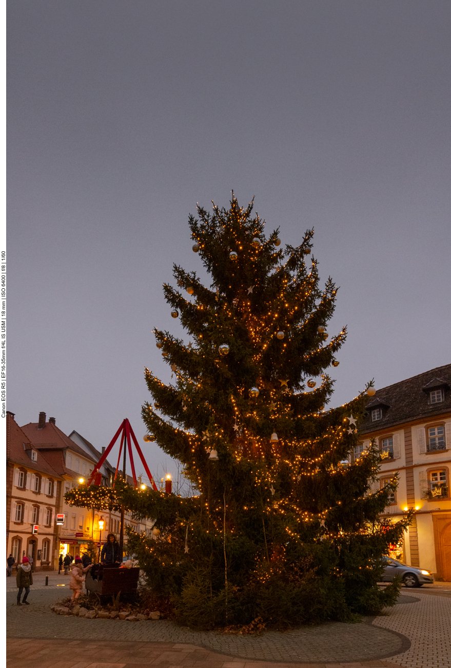 Weihnachtsbaum in Wissembourg