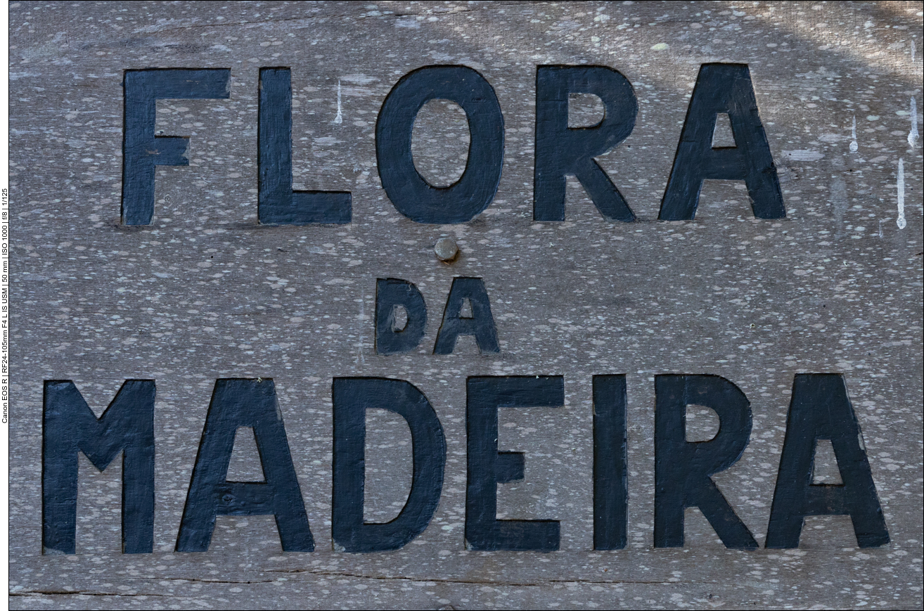 Besuch des Jardim Tropical