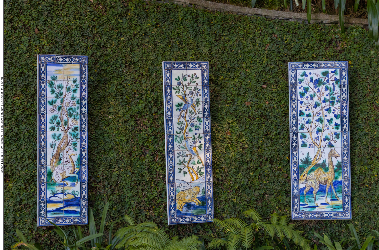 Darstellung tropischer Tiere auf Kacheln