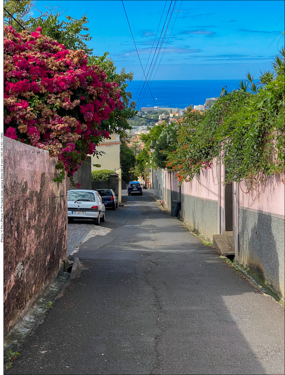 Nach der Korbschlittenfahrt laufen wir ein ganzes Stück bis an die Küste von Funchal hinunter