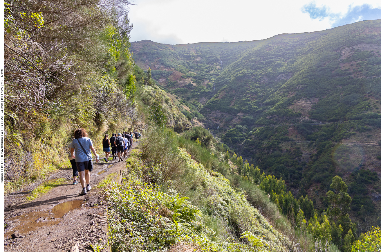 Bei solchen geführten Wanderungen ist man leider nicht alleine unterwegs