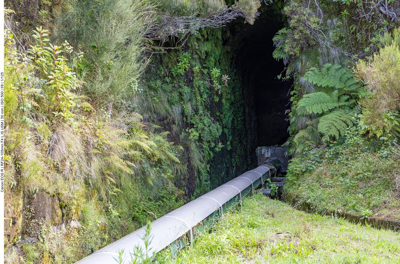 Durch diesen Tunnel müssen wir hindurch