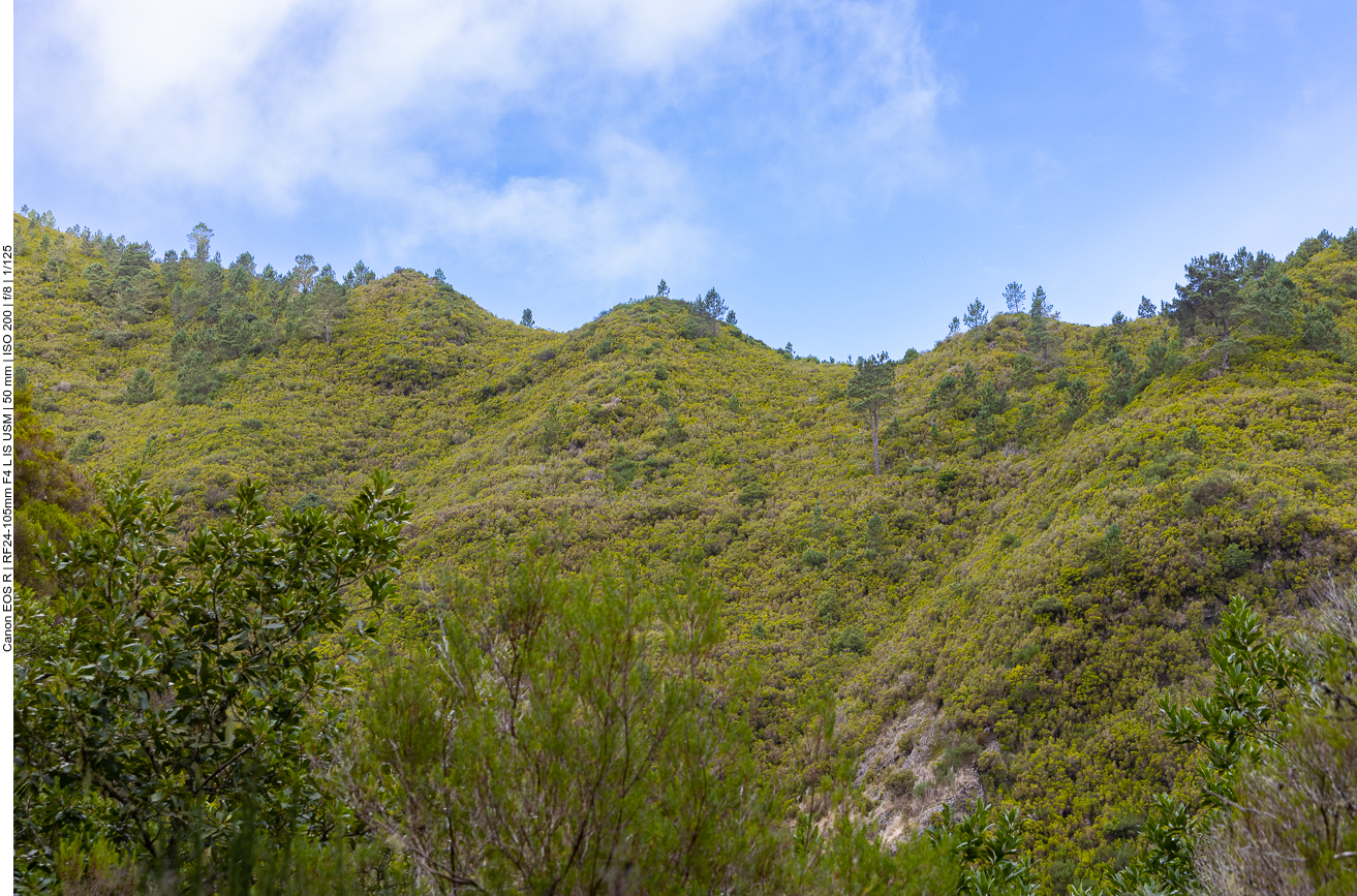 Bergkamm oberhalb des Weges