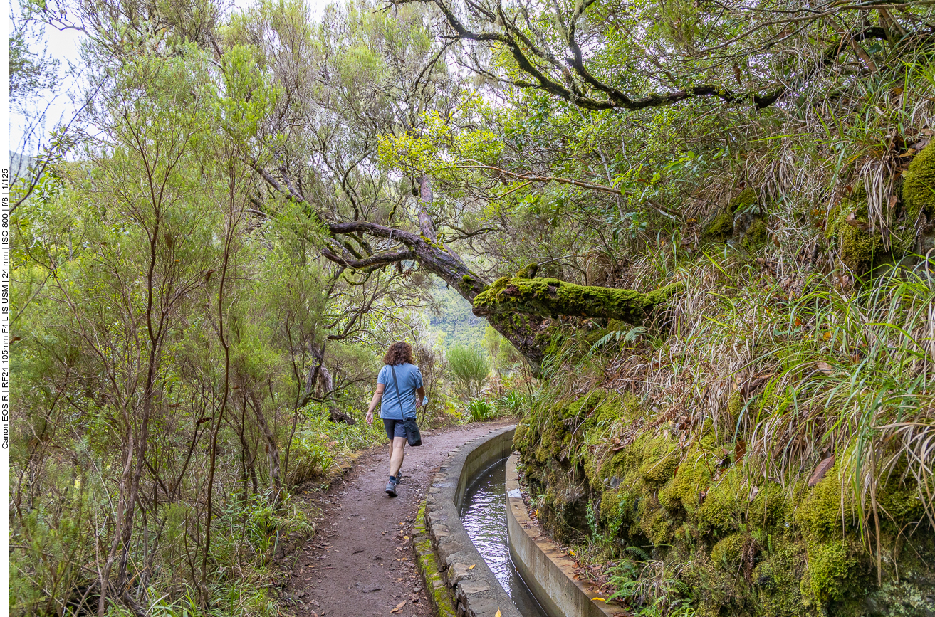 ... doch es wird schmaler